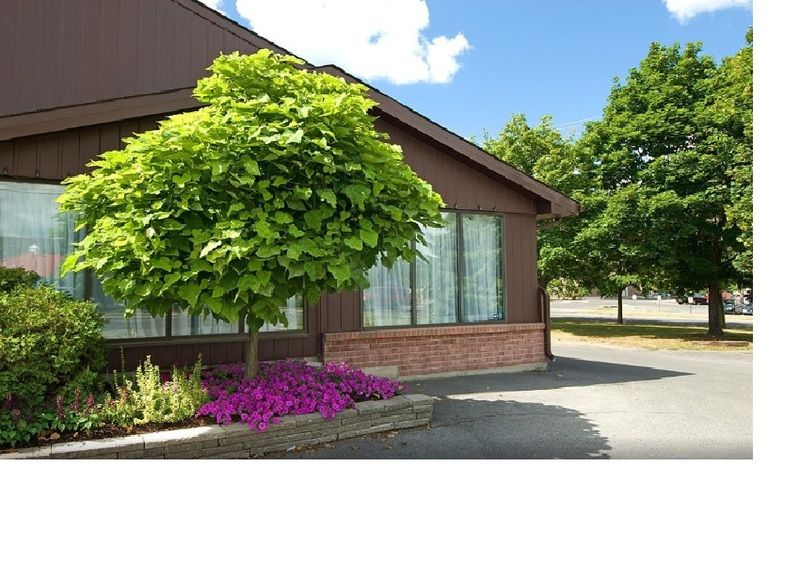 Ramada By Wyndham Kingston Motel Екстериор снимка